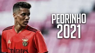 Lances Pedrinho Benfica